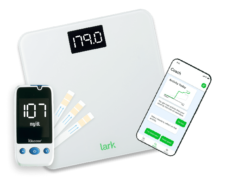 Lark Program